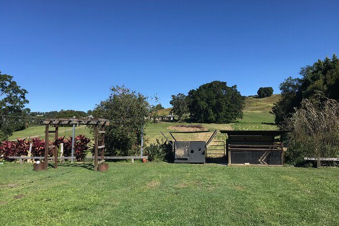 Noosa Hinterland Tour with Lunch, Wine & Cheese Tasting & more - Wine & Cheese at Dingo Creek Vineyard