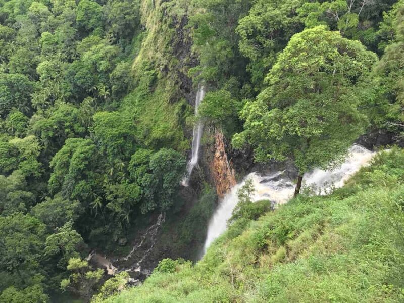 Noosa: Maleny & Montville Tour with Lunch & Wine Tasting - Exploring the Sunshine Coast Hinterland with Joel’s Journeys