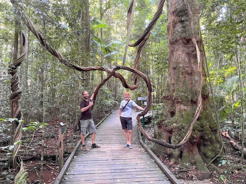 Noosa: Maleny & Montville Tour With Lunch & Wine Tasting - Frequently Asked Questions