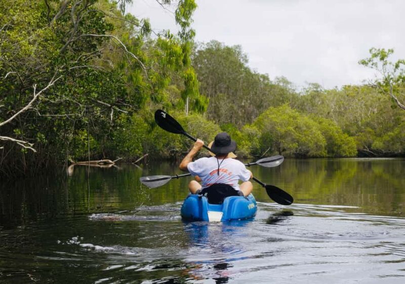 Noosa: Noosa Everglades and Stingray Sanctuary Kayak Tour - Key Points