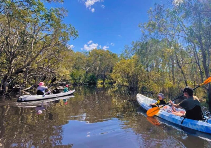 Noosa: Noosa Everglades and Stingray Sanctuary Kayak Tour - Final Thoughts: Is It Worth It?