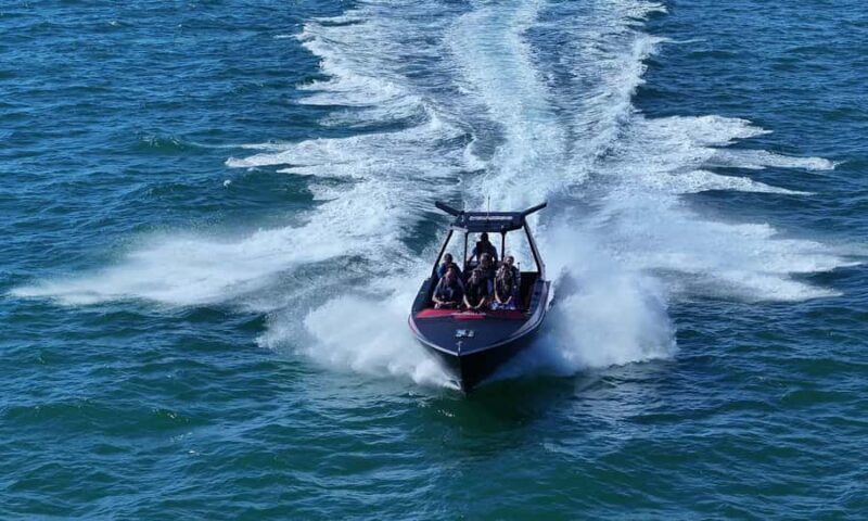 Noosa; Noosa Ocean Adventures - Whale Watching - Who Will Love This Tour?