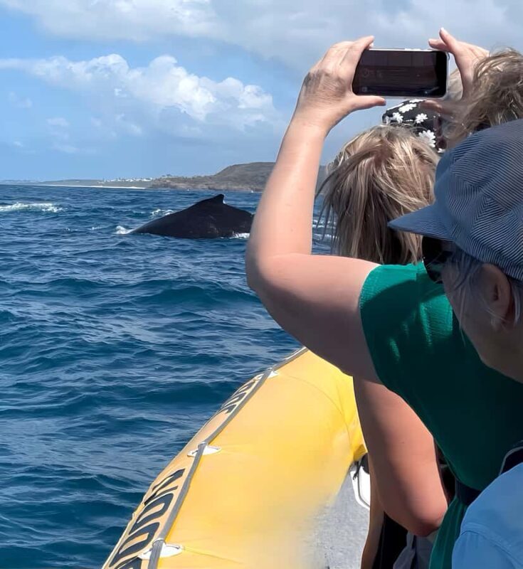 Noosa: Noosa Whale Watching Tour - Final Thoughts: Who Will Love This Tour?