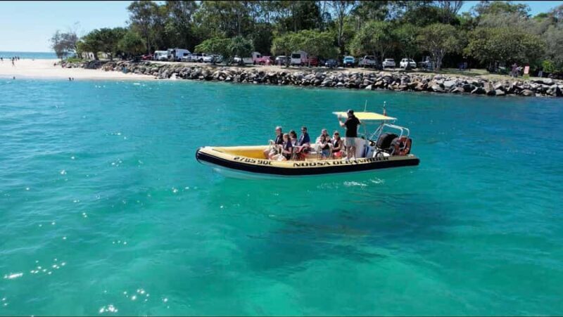 Noosa Ocean adventure & Dolphin Safari. - The Departure and Setting