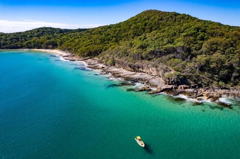 Noosa Ocean adventure & Dolphin Safari. - Wildlife Sightings
