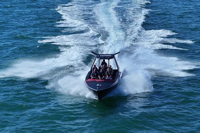 Noosa Ocean Adventures: Dolphins - An Exciting Introduction to Noosas Marine World