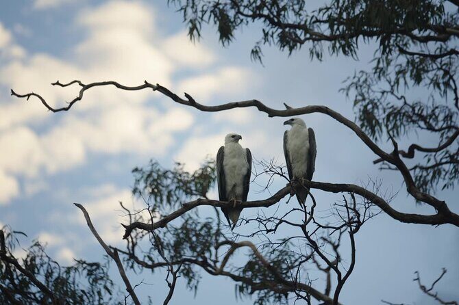 Noosa Queen Sunset Cruise River - The Sum Up