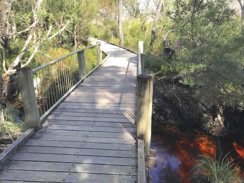 Noosa: Rainbow Beach Tour via Noosa Hinterland and Cooloola - Recap