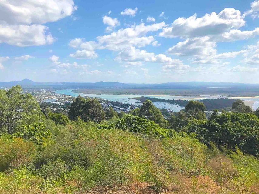 Noosa: Secrets of Noosa Tour With Lunch Nature & River Ferry - Key Points