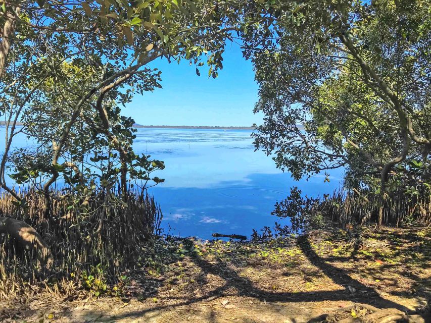 Noosa: Secrets of Noosa Tour With Lunch Nature & River Ferry - Important Information