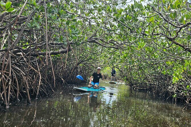 Noosa Stand Up Paddle Group Lesson - What Makes This Experience Stand Out?