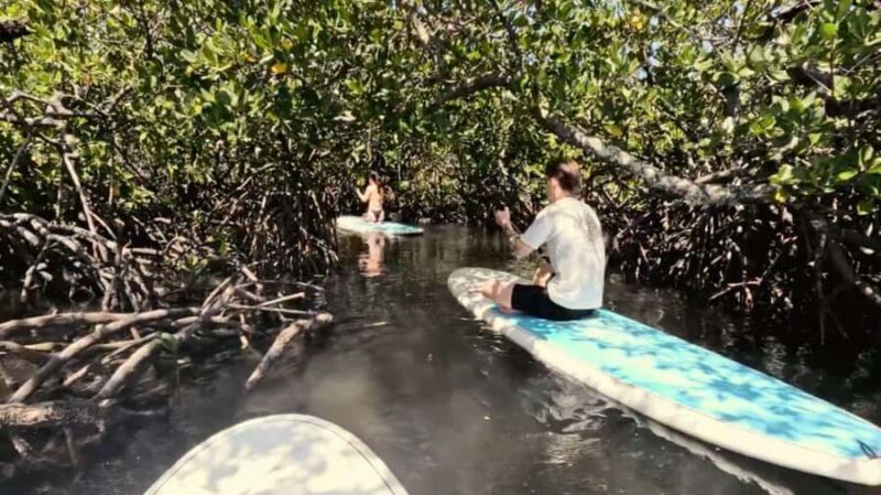 Noosa Stand Up Paddle & Mangrove Tunnel Tour (Self Guided) - The Sum Up: An Authentic and Value-Filled Noosa Experience