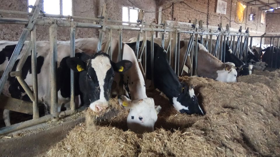 Norcia: Full-Day Hiking Tour With Meat and Cheese Tasting - Key Points