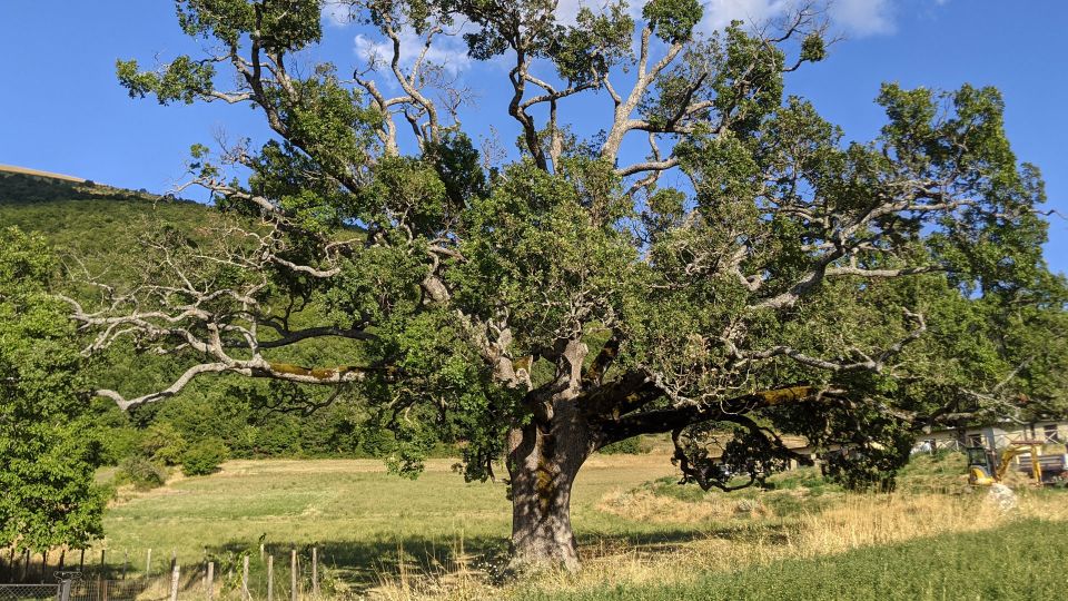 Norcia: Full-Day Hiking Tour With Meat and Cheese Tasting - Learning Experiences