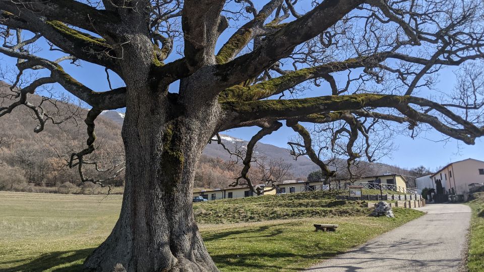 Norcia: Full-Day Hiking Tour With Meat and Cheese Tasting - Cheese Production Visit