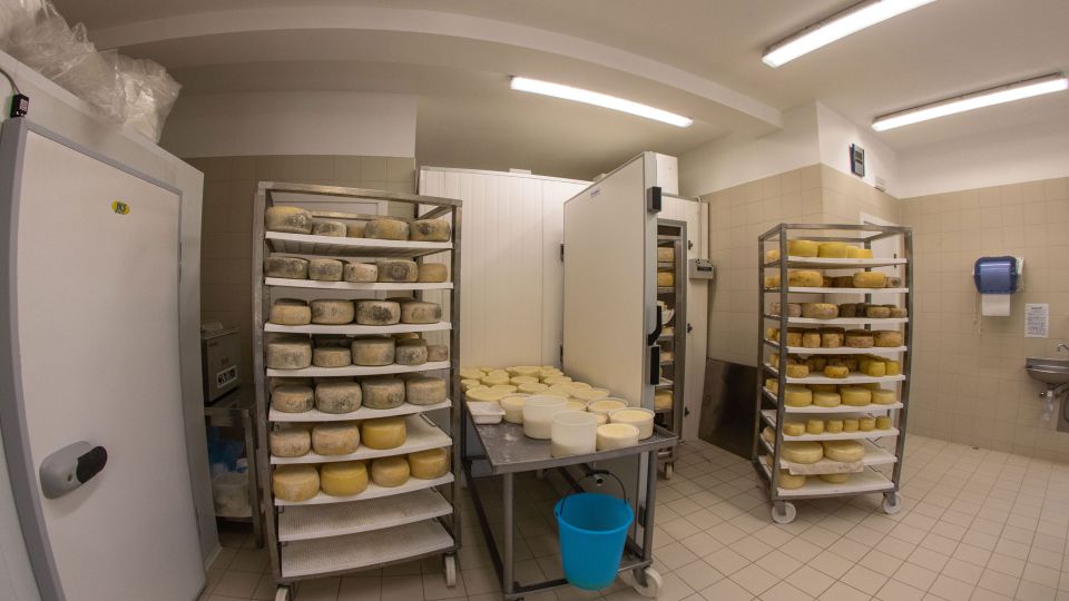 Norcia: Full-Day Hiking Tour With Meat and Cheese Tasting - Meeting Point and Logistics