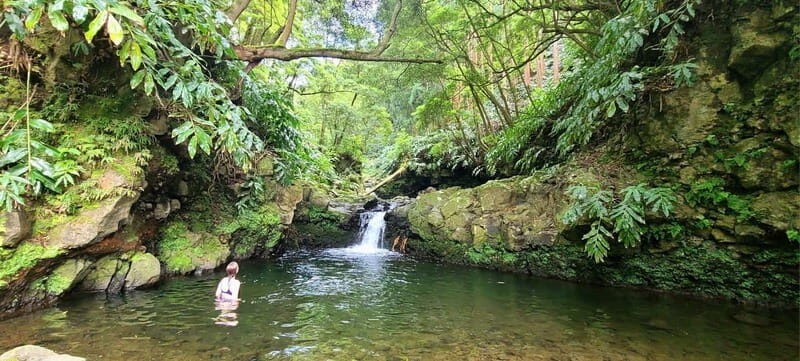 Nordeste/Northeast coast FULL DAY Waterfalls Hike - Exploring the Nordeste/Northeast Coast FULL DAY Waterfalls Hike