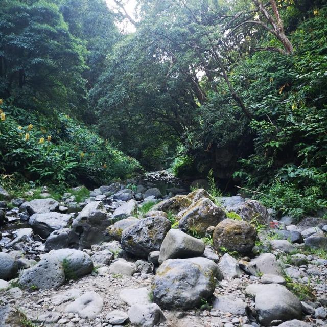 Nordeste Waterfalls Half Day Hike - Trilho Moinho Do Felix - Cascatas