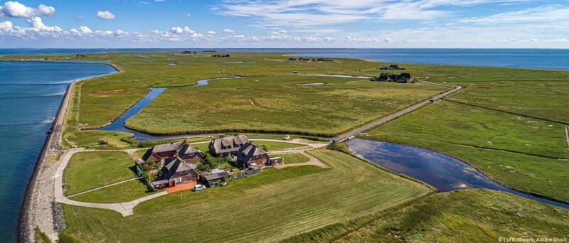 Nordstrand: Daytrip by boat to Amrum - The Sum Up