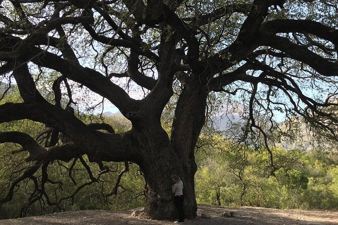 Noreste Explorer (El Potrero Chico and Boca de Potrerillos Archaeological Site) - Final thoughts