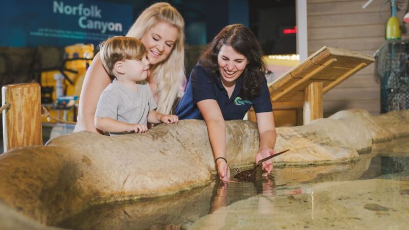 Norfolk: Virginia Zoo & Battleship Wisconsin Combo Ticket - How the Attractions Stack Up