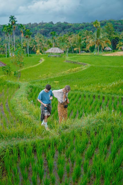 Norht Lombok Waterfall Day Trip : Sendang Gile & Tiu Kelep - Private Group Option