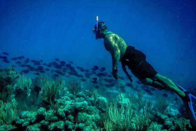 Norman Island - The Caves & The Indians - Sailing & Snorkel Tour - What Do the Reviews Say?