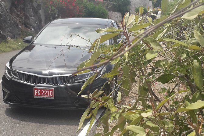 Norman Manley Airport to Strawberry Hills - An In-Depth Look at the Norman Manley Airport to Strawberry Hills Transfer