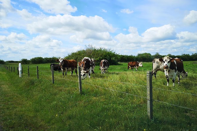 Normandy Battlefields Tour - American Sites (A3) - Safety Measures
