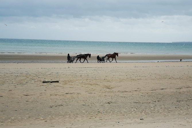 Normandy Beaches Half-Day Afternoon Trip From Bayeux (A2) - Recap