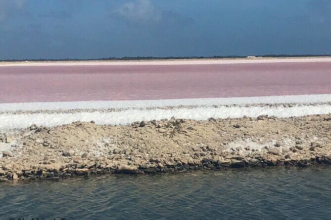 North and South Tour + Beach Time with a Local Native Guide - The Sum Up: Who Will Love This Tour?