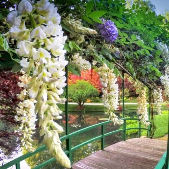 North Atlanta: Gibbs Gardens Self-Guided Slingshot Tour - Key Points