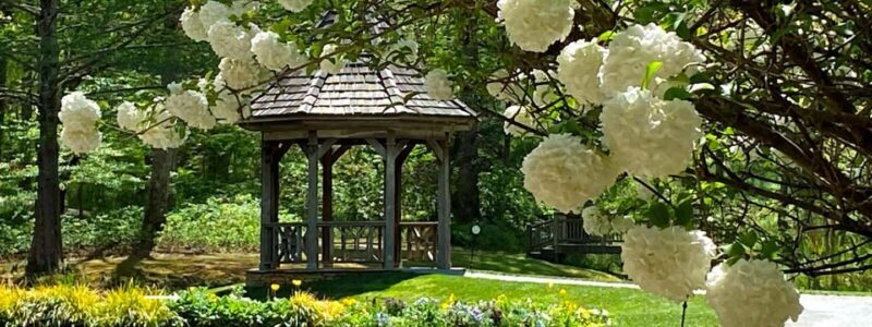 North Atlanta: Gibbs Gardens Self-Guided Slingshot Tour - Discovering the Georgia Countryside in Style