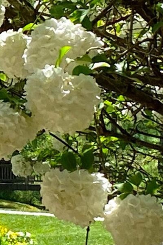 North Atlanta: Gibbs Gardens Self-Guided Slingshot Tour - Exploring the Scenic Routes