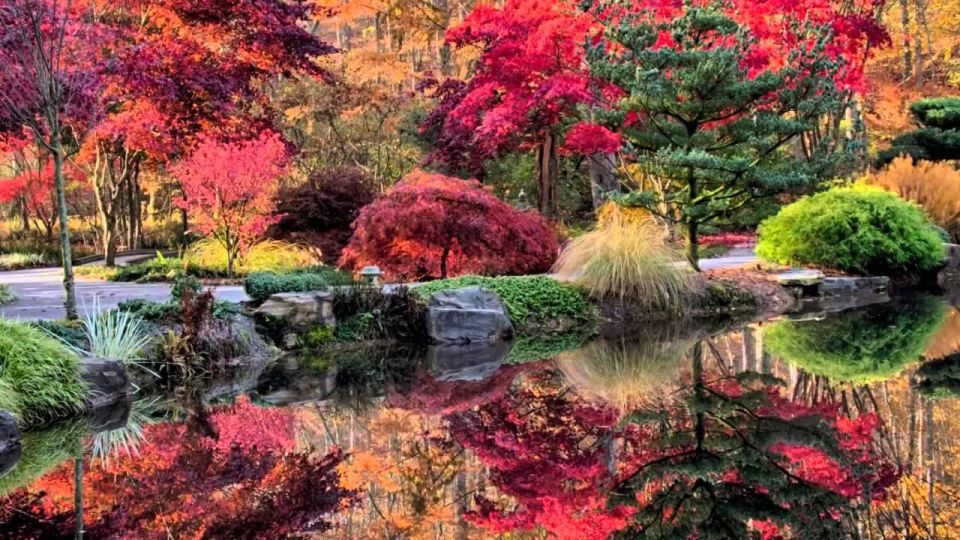 North Atlanta: Gibbs Gardens Self-Guided Slingshot Tour - Restrictions and Requirements
