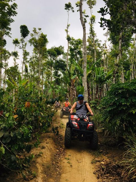 North Bali : ATV Quad Bike Adventure With Waterfall Trek - ATV Quad Bike Adventure