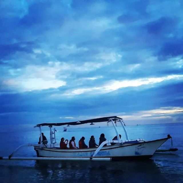 North Bali: Dolphin Lovina Beach & Aling-aling Waterfall - Itinerary Highlights