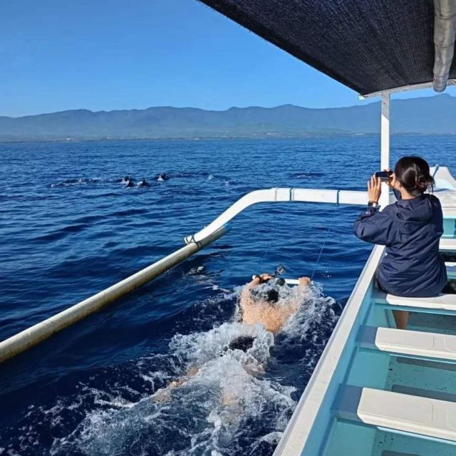 North Bali: Dolphin Lovina Beach & Aling-aling Waterfall - Dolphin Watching at Lovina Beach
