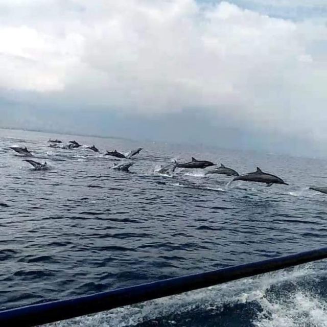 North Bali: Dolphin Lovina Beach & Aling-aling Waterfall - Included and Optional Experiences