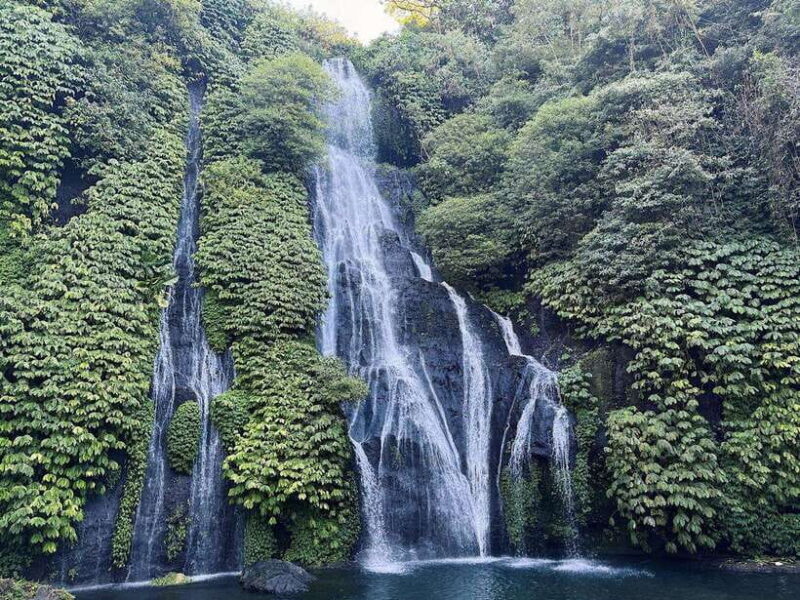 North Bali: Dolphin, Ulun Danu Temple, & Banyumala Waterfall - Sunrise Dolphin Watching: The Main Event