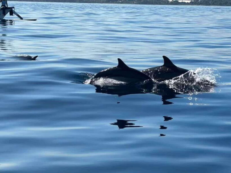 North Bali: Dolphin, Ulun Danu Temple, & Banyumala Waterfall - Ulun Danu Temple: A Picture-Perfect Moment
