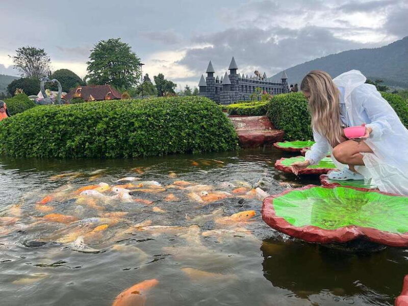 North Bali: Dolphin, Ulun Danu Temple, & Banyumala Waterfall - Whats Included and Whats Not