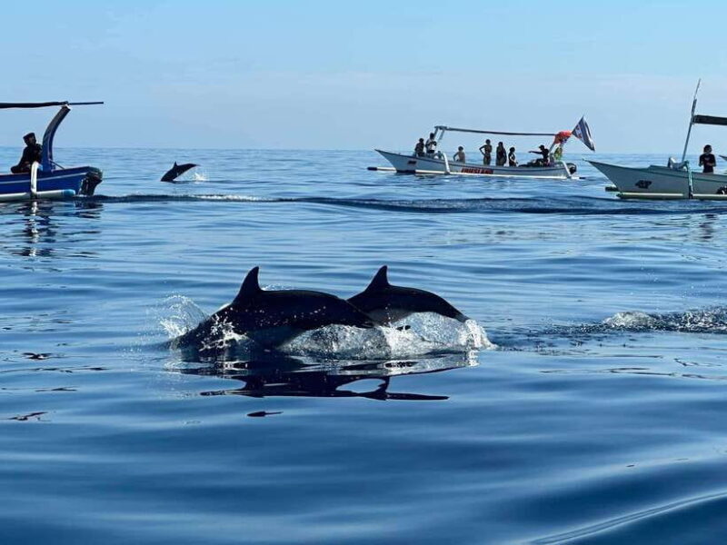 North Bali: Dolphin, Ulun Danu Temple, & Banyumala Waterfall - Practical Tips for a Smooth Experience