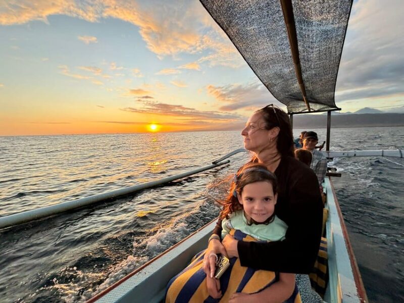 NORTH BALI : Dolphin Watching and Hot Spring Tour - Tour Overview