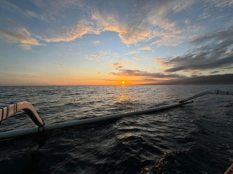 NORTH BALI : Dolphin Watching and Hot Spring Tour - Itinerary Details