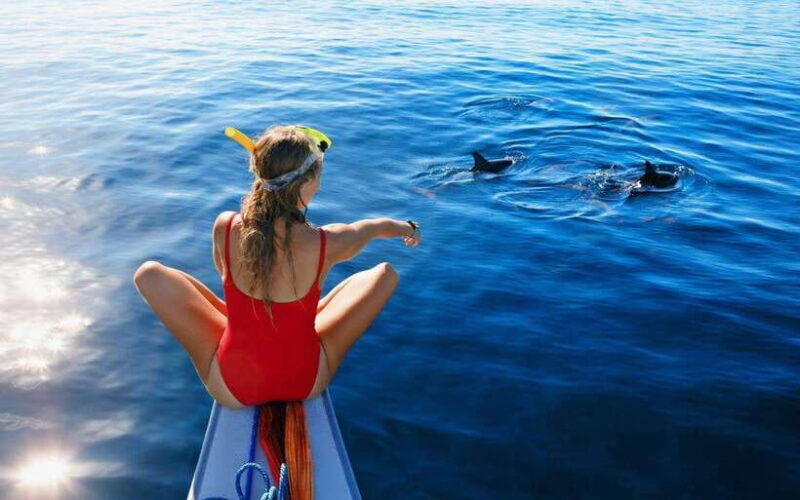 North Bali: Dolphin Watching and Snorkeling Tour - The Practicalities and Tips