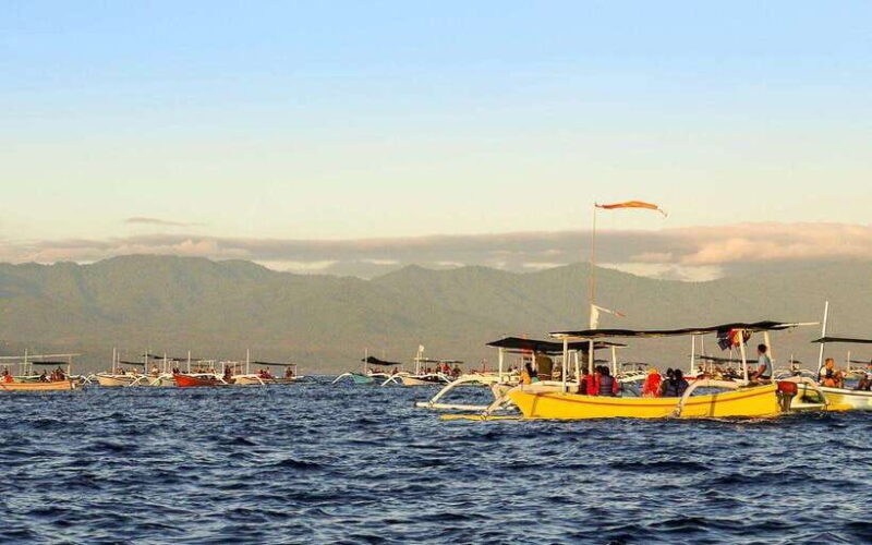 North Bali: Dolphin Watching and Snorkeling Tour - Who This Tour Is Best For