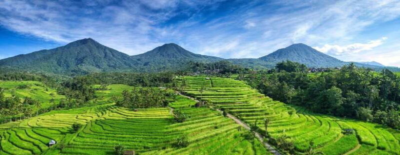 North Bali: Enjoy the beauty of Bratan Temple and Jatiluwih - Key Points