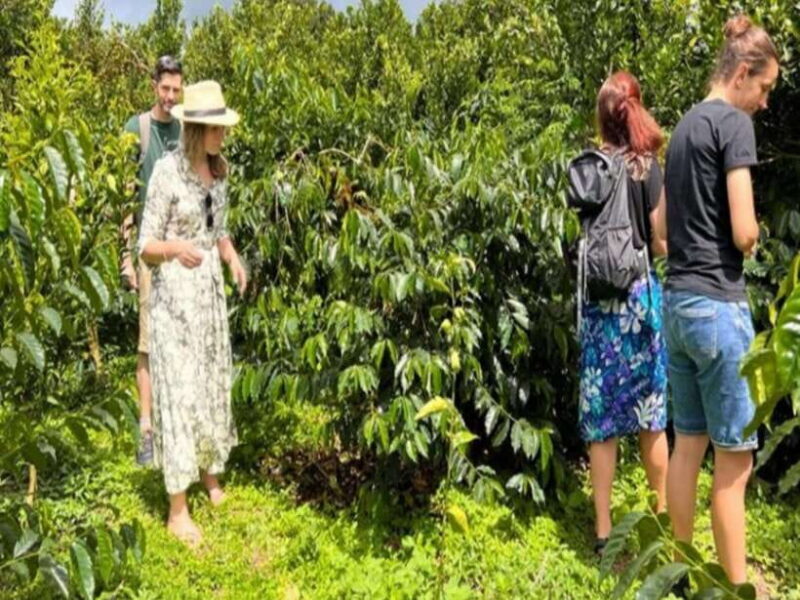 North Bali: Enjoy the beauty of Bratan Temple and Jatiluwih - What Travelers Say