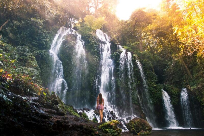 NORTH BALI : EXPLORE NATURE AND WATERFALLS - Main Attractions